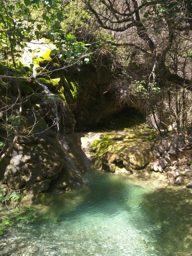 Ruisseau du Tiourre Ardeche