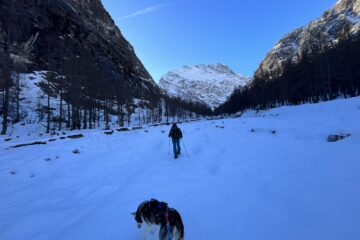 cani raquette ecrins